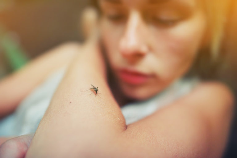 Mosquito,Sits,On,Human,Skin.,Pain,,Danger,Of,Infection.,Dangerous