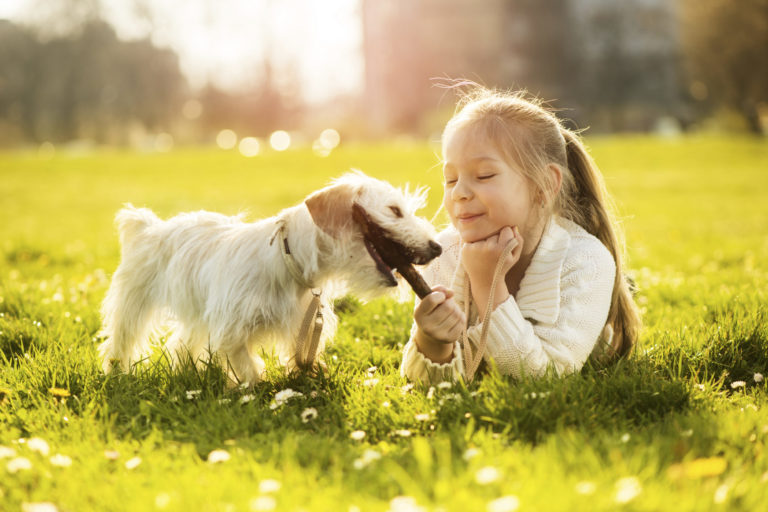 Little girl with her puppy dog