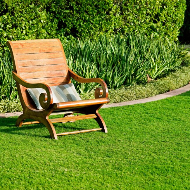 remove mosquitoes from yard