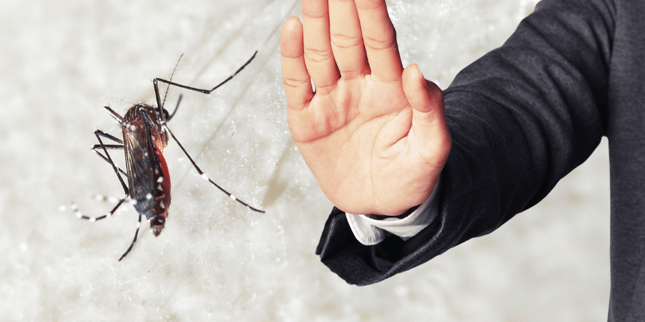 MNX_Mosquito control